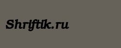ER Bukinist 866 Bold Italic 